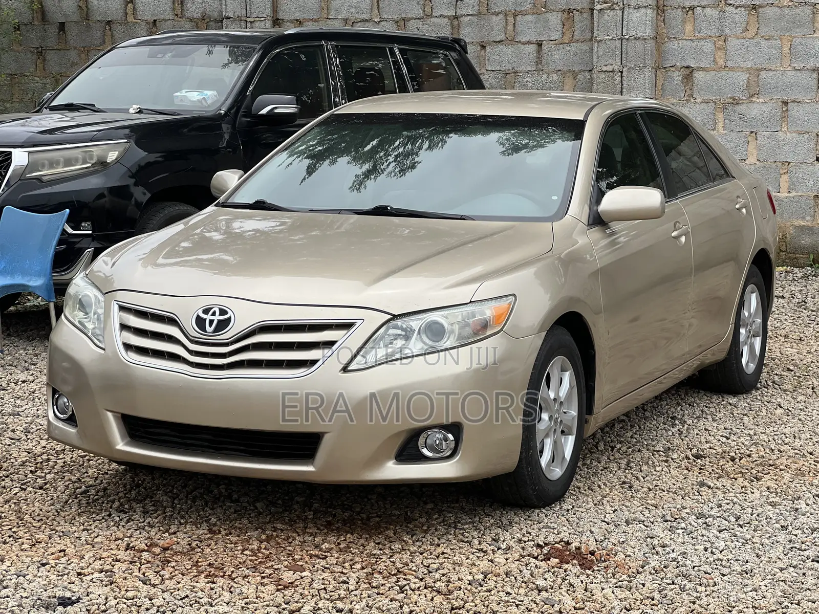 Toyota Camry LE 4dr Sedan (2.5L 4cyl 6A) 2011 Gold