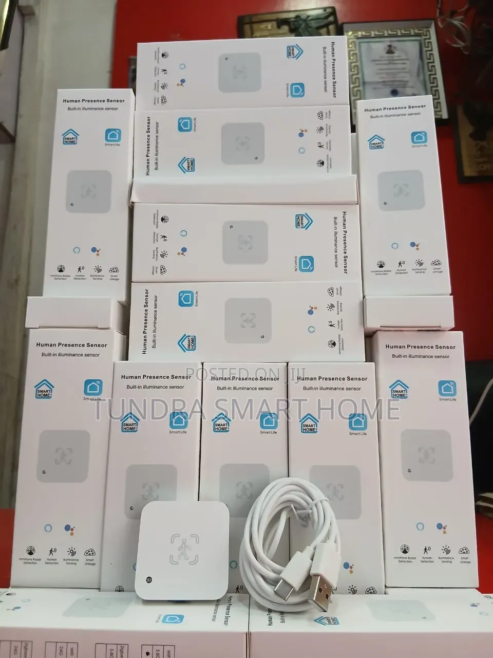 Wifi Wall Human Presence Sensor