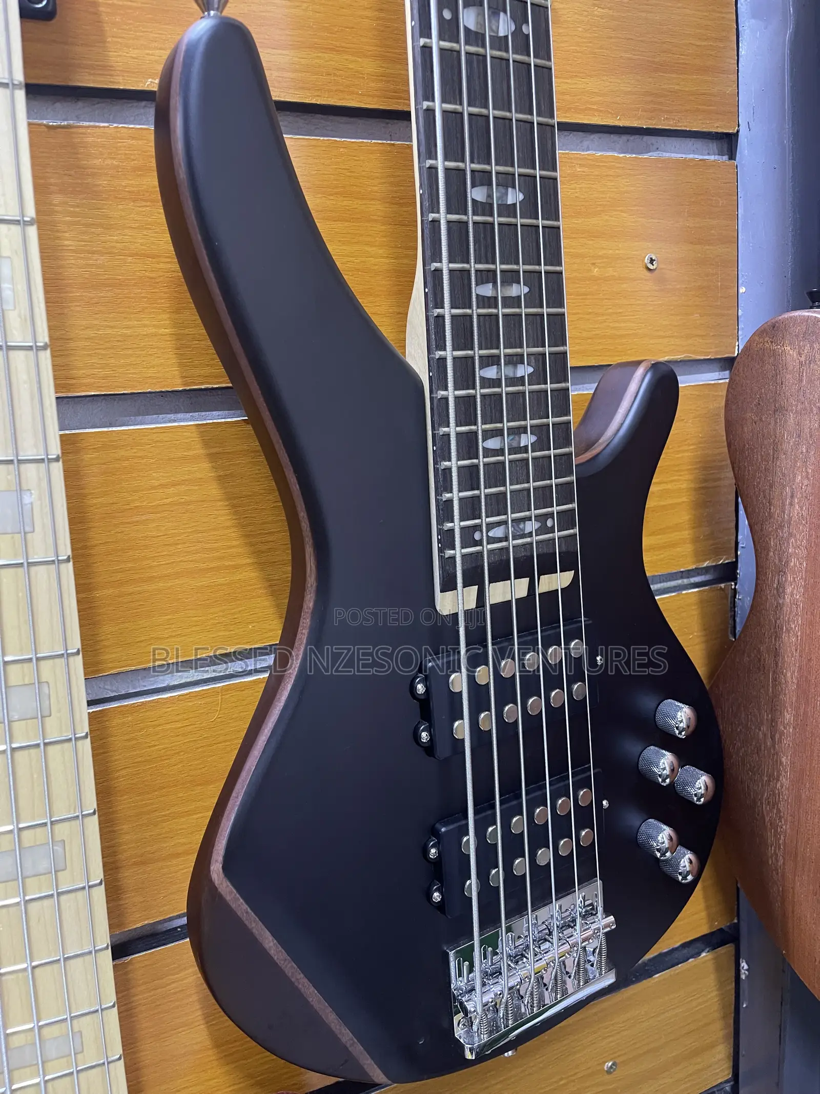 Professional Bass Guitar