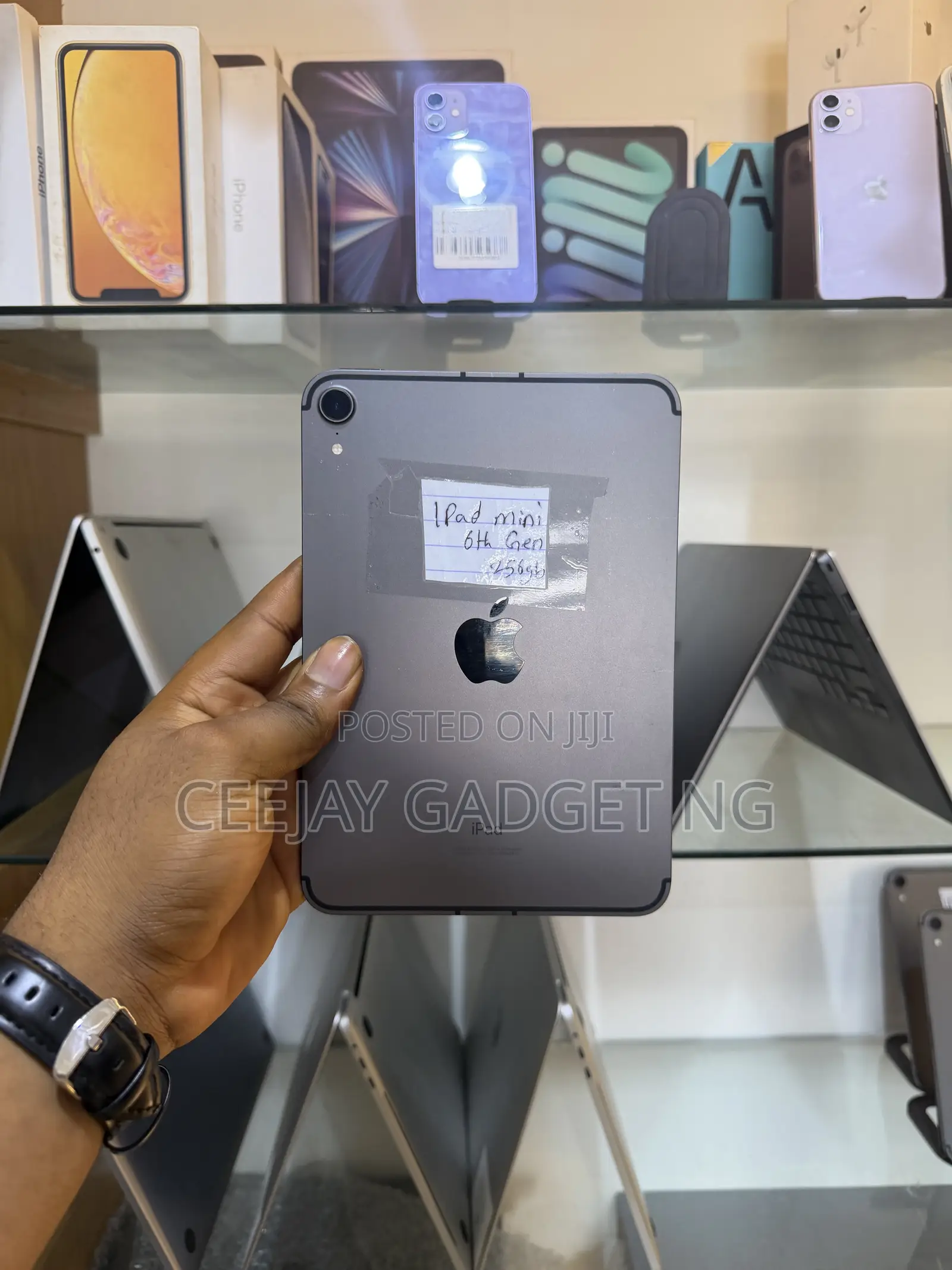 Apple iPad mini 6 256 GB Gray