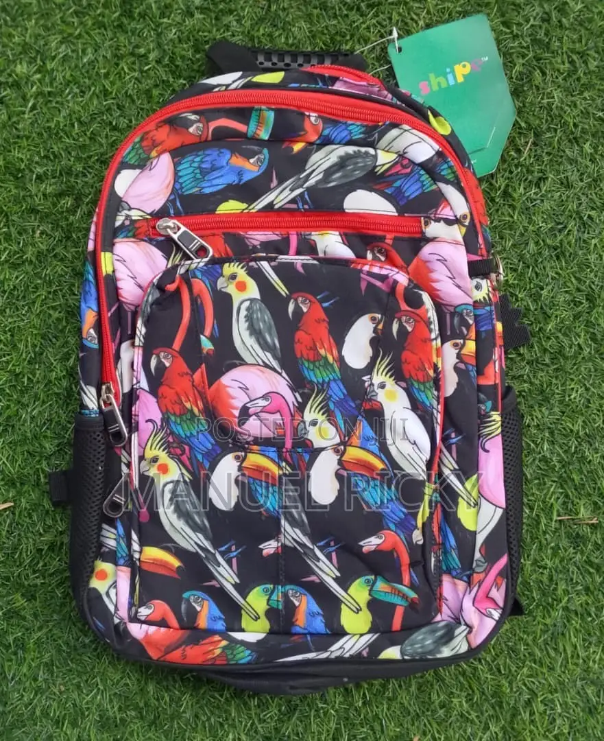 School Bag / Backpacks