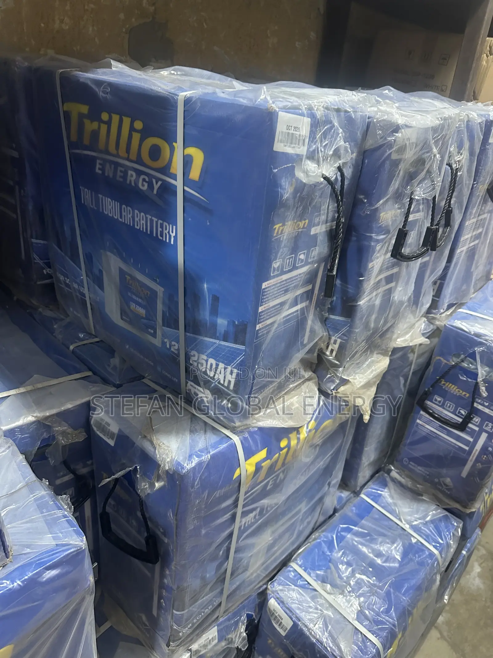 250Ah Trillion Energy Tubular Battery
