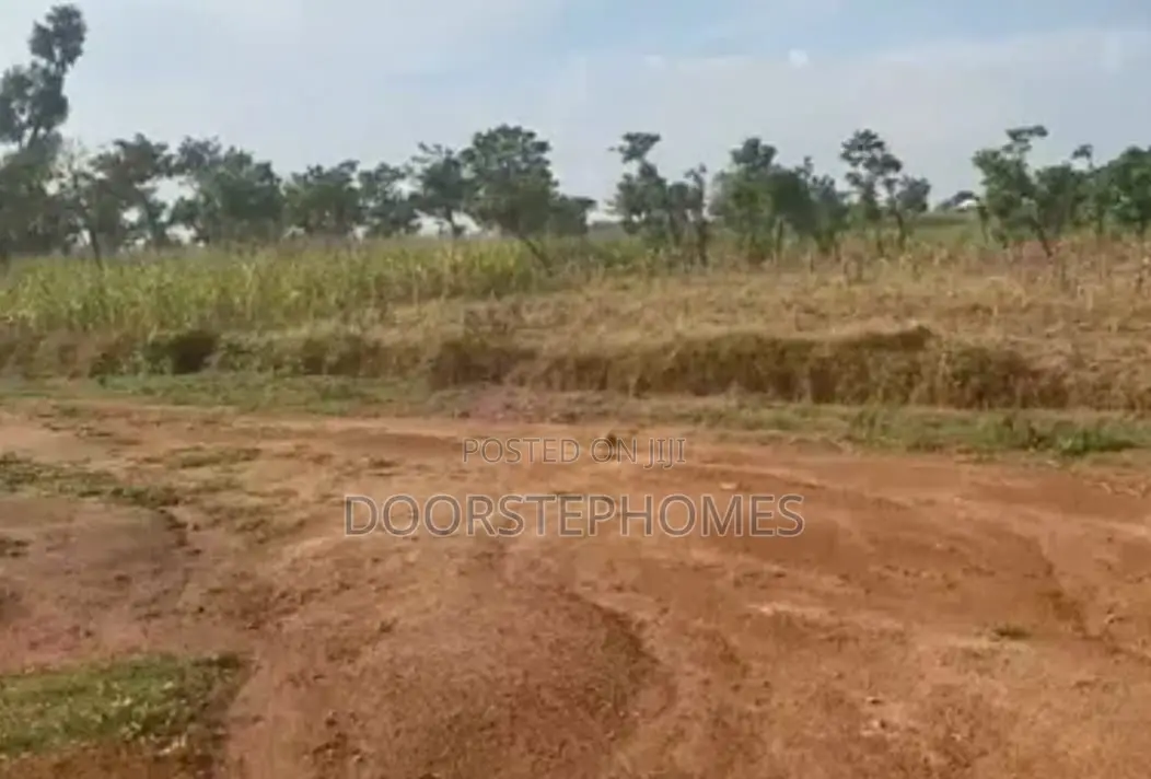 1191.27Sqm Residential Land for Sale in Katampe