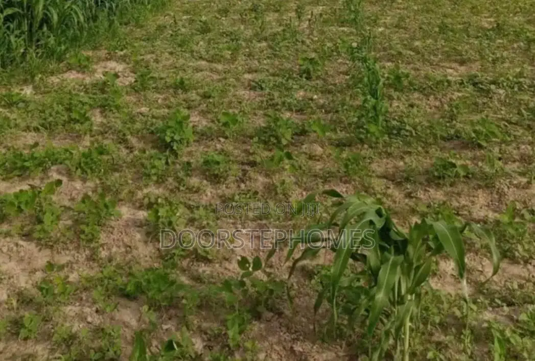 1315.13Sqm Residential Land for Sale in Asokoro
