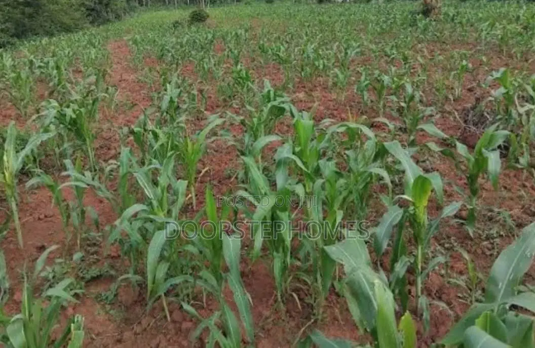 1315.13Sqm Residential Land for Sale in Asokoro