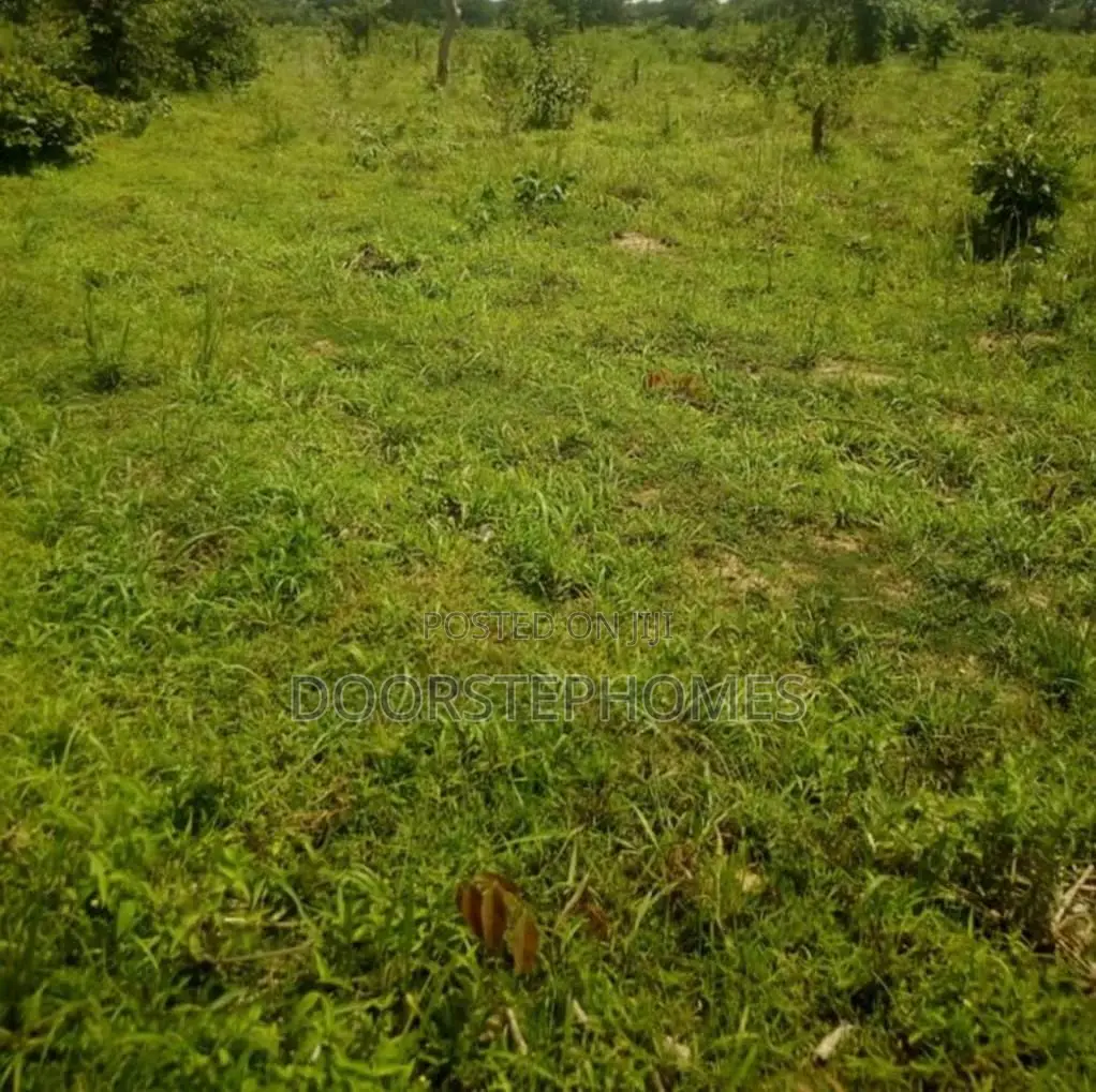 5279Sqm Mixed-Use Land for Sale in Lugbe