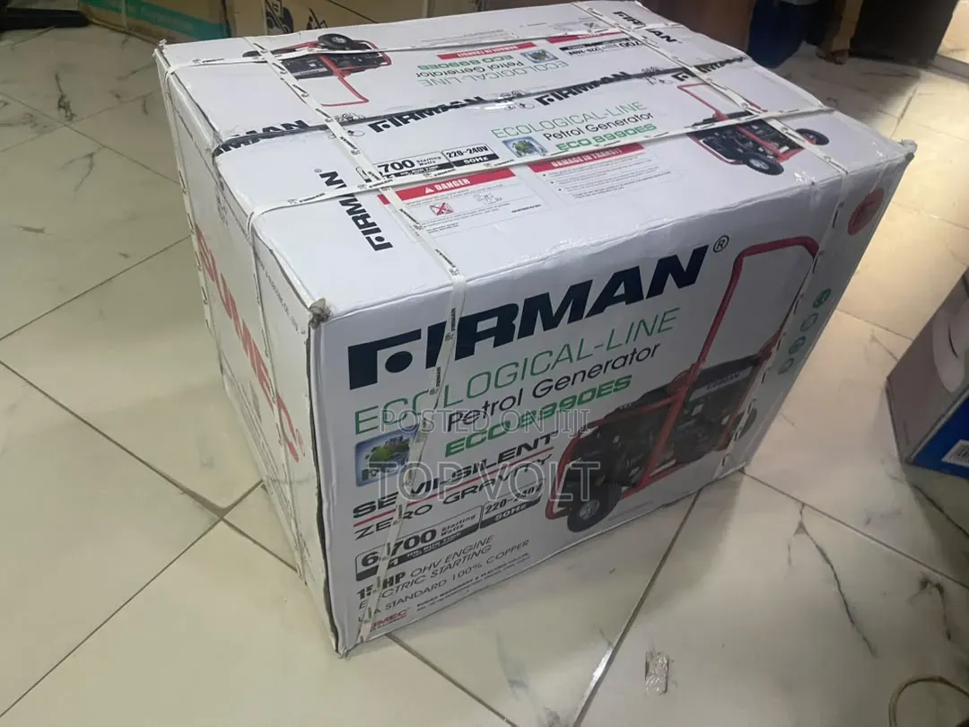 Sumec Firman ECO8990ES 6.7KVA Automatic Generator