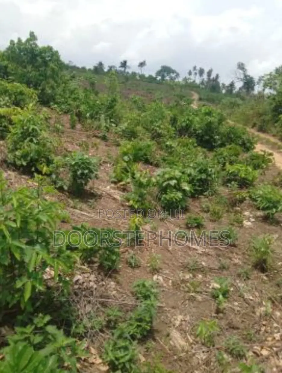 5216Sqm Commercial Land for Sale in Kado