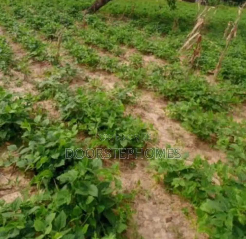 5216Sqm Commercial Land for Sale in Kado
