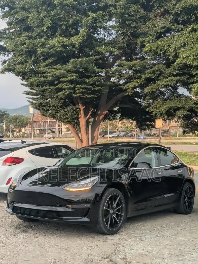 Tesla Model 3 Performance 2020 Black