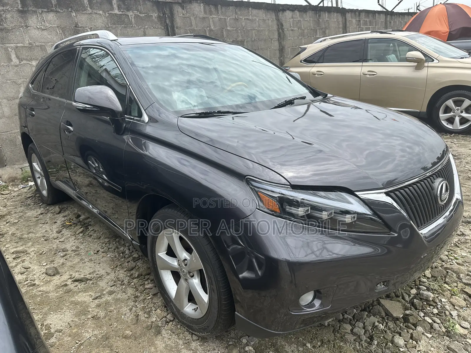 Lexus RX 350 2010 Gray