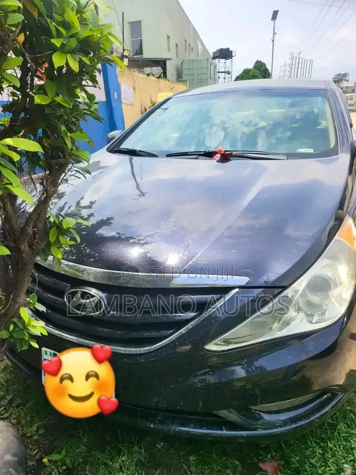 Hyundai Sonata 2012 Blue
