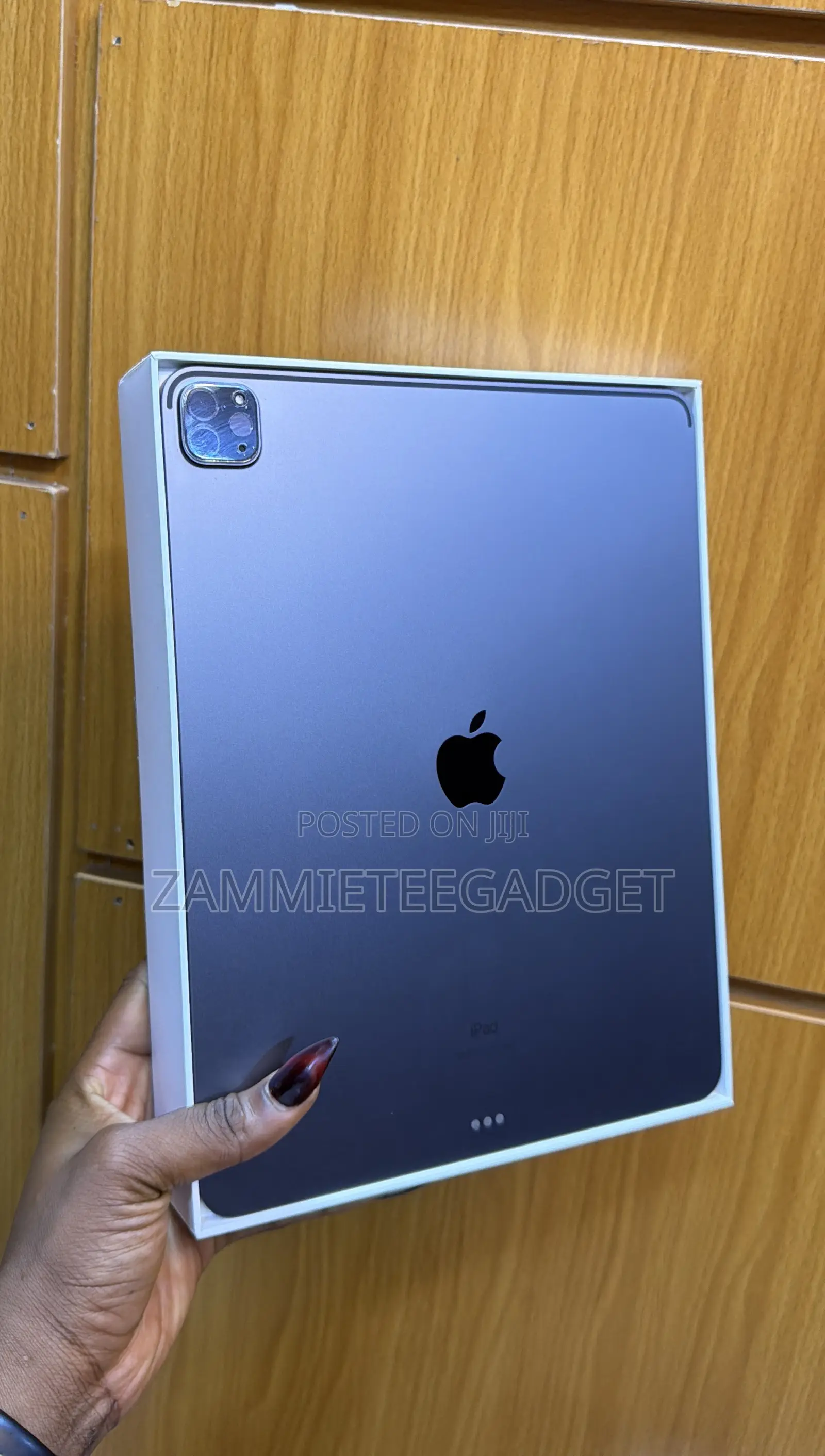 Apple iPad Pro 256 GB Gray