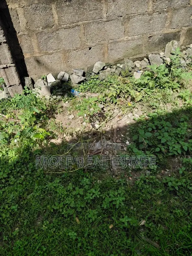 6000sqm Plot CBD Alausa Ikeja Lagos