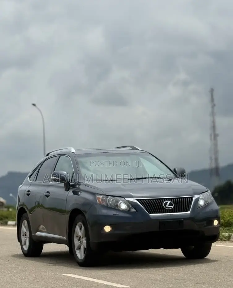 Lexus RX 350 2010 Gray