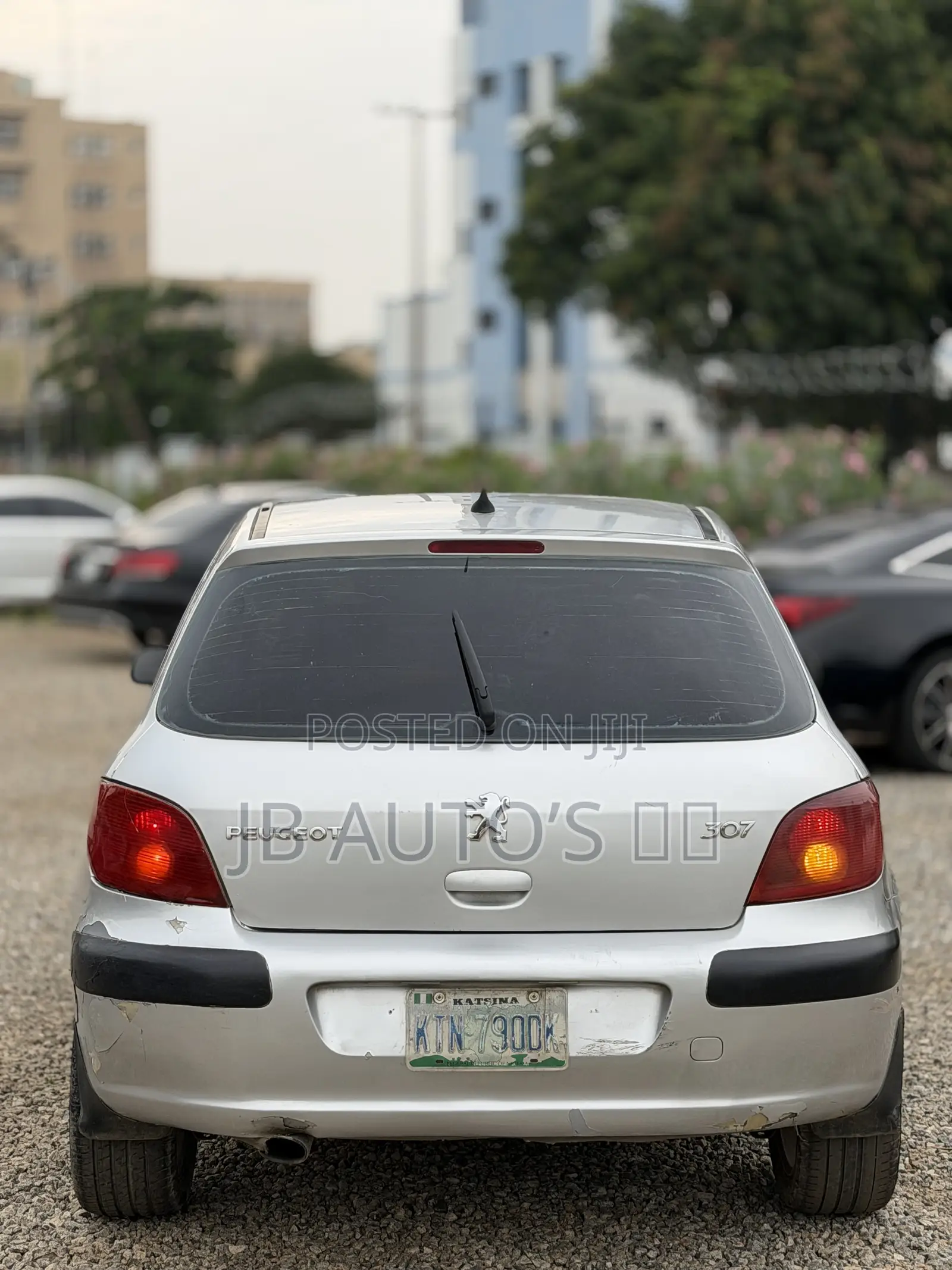 Peugeot 307 2004 Silver