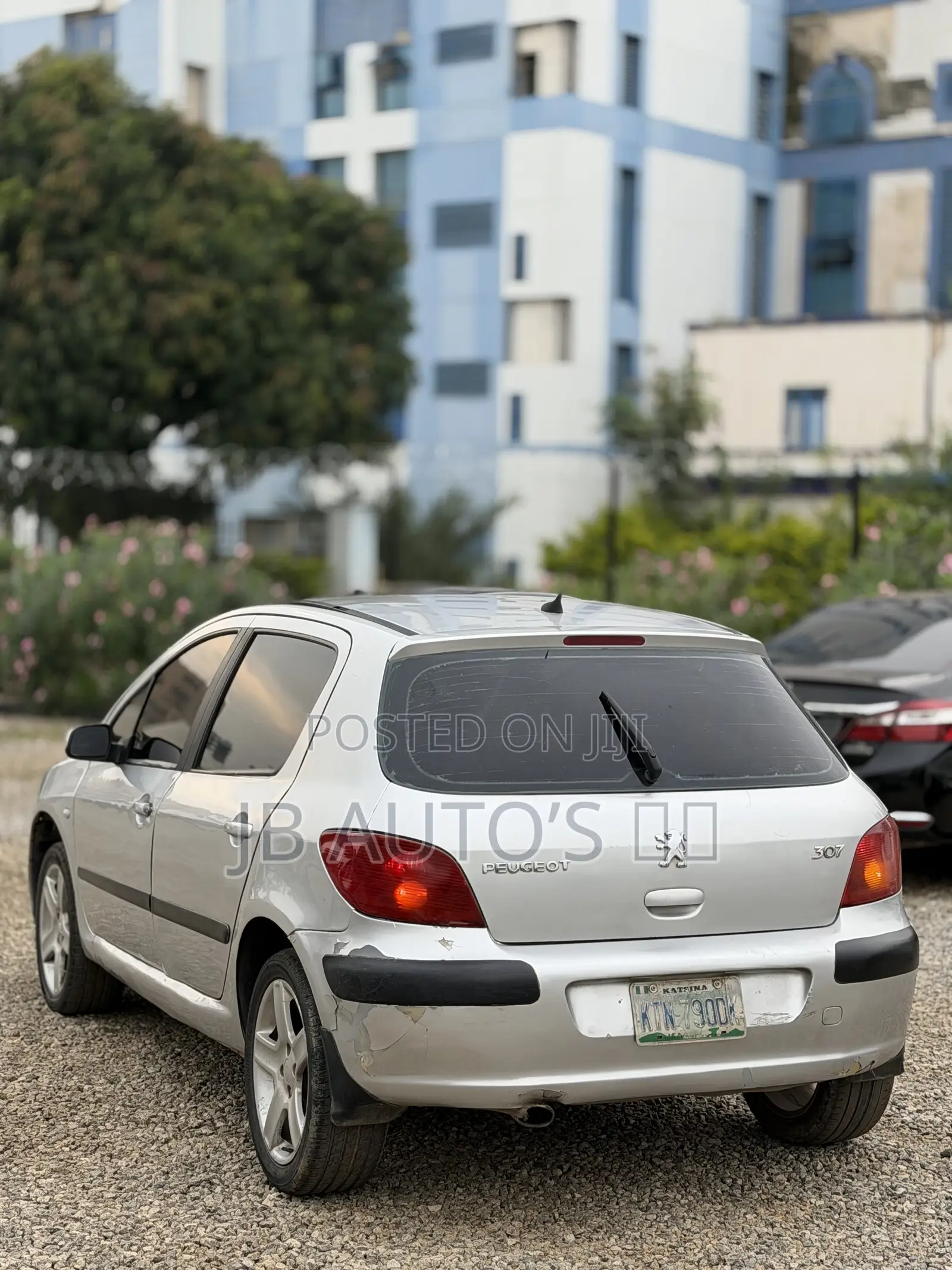 Peugeot 307 2004 Silver