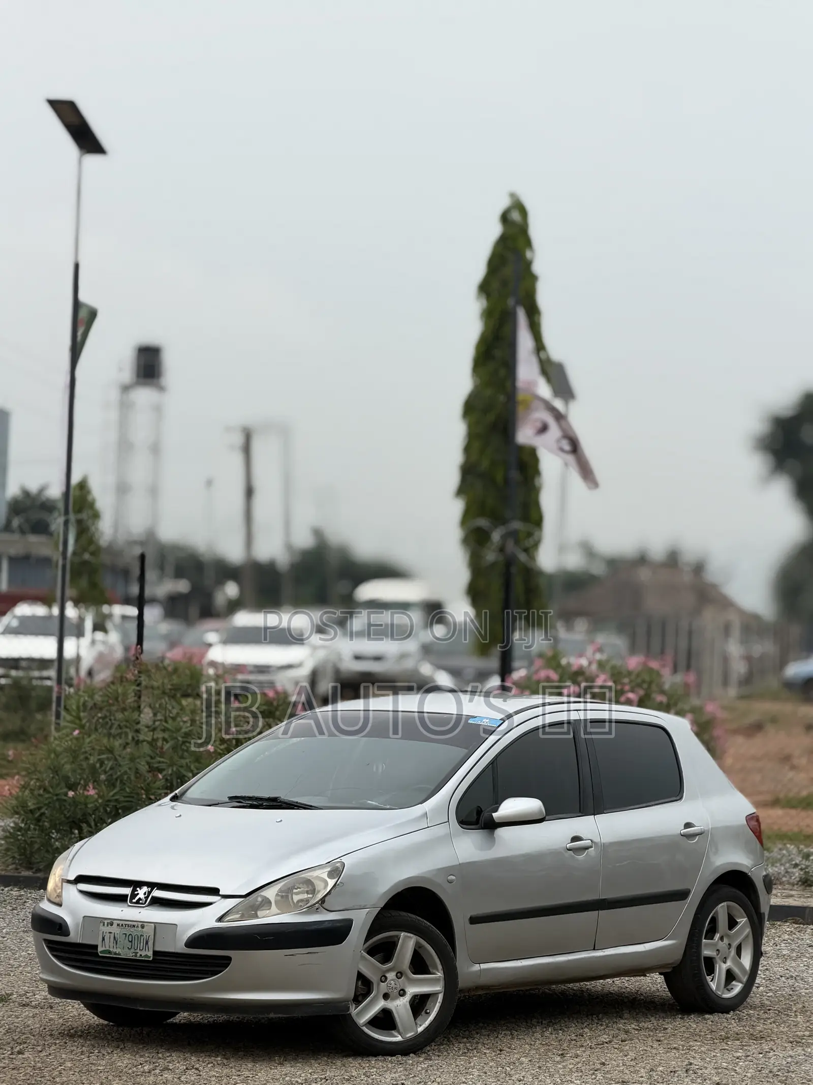 Peugeot 307 2004 Silver