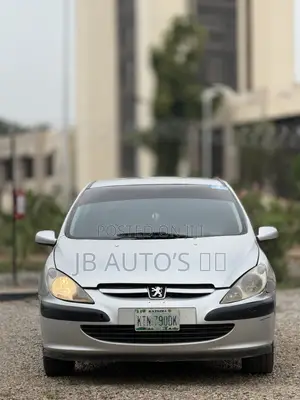 Peugeot 307 2004 Silver