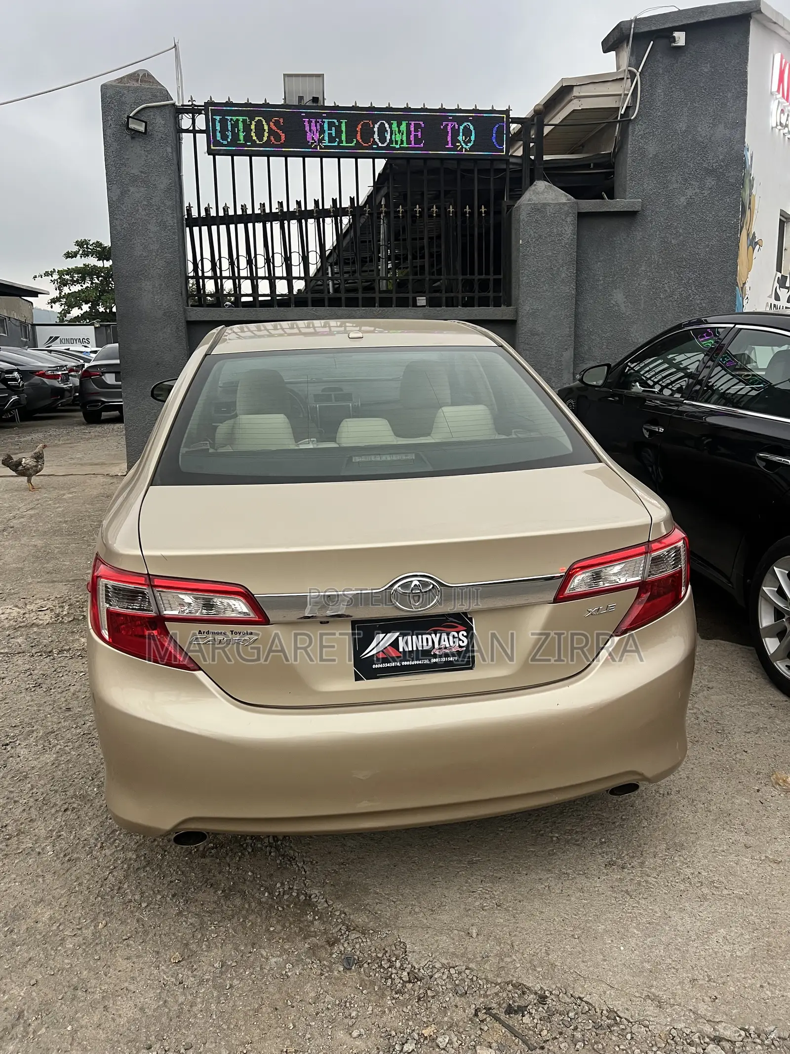Toyota Camry XLE 4dr Sedan (2.5L 4cyl 6A) 2013 Gold