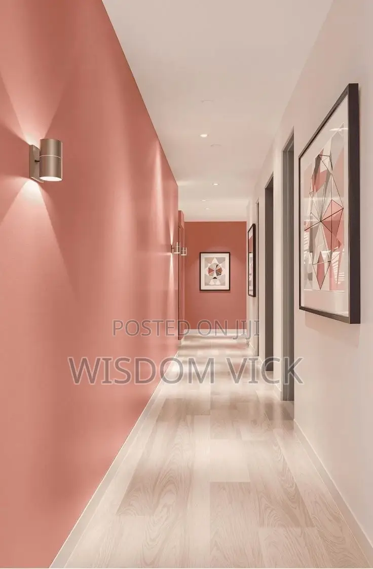 Neat Painter & Screeder in Abuja Available Now for Your House