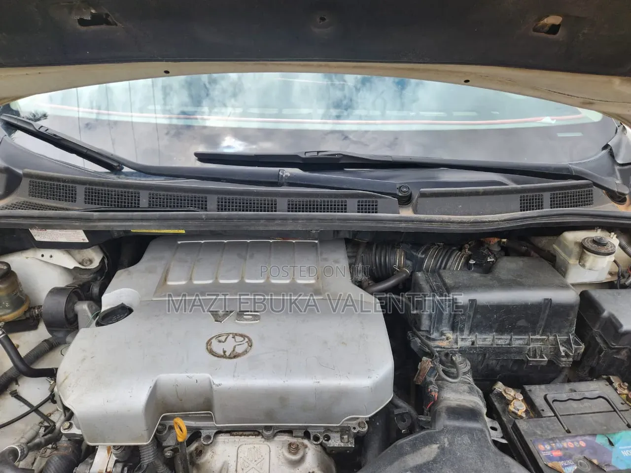 Toyota Sienna 2007 White