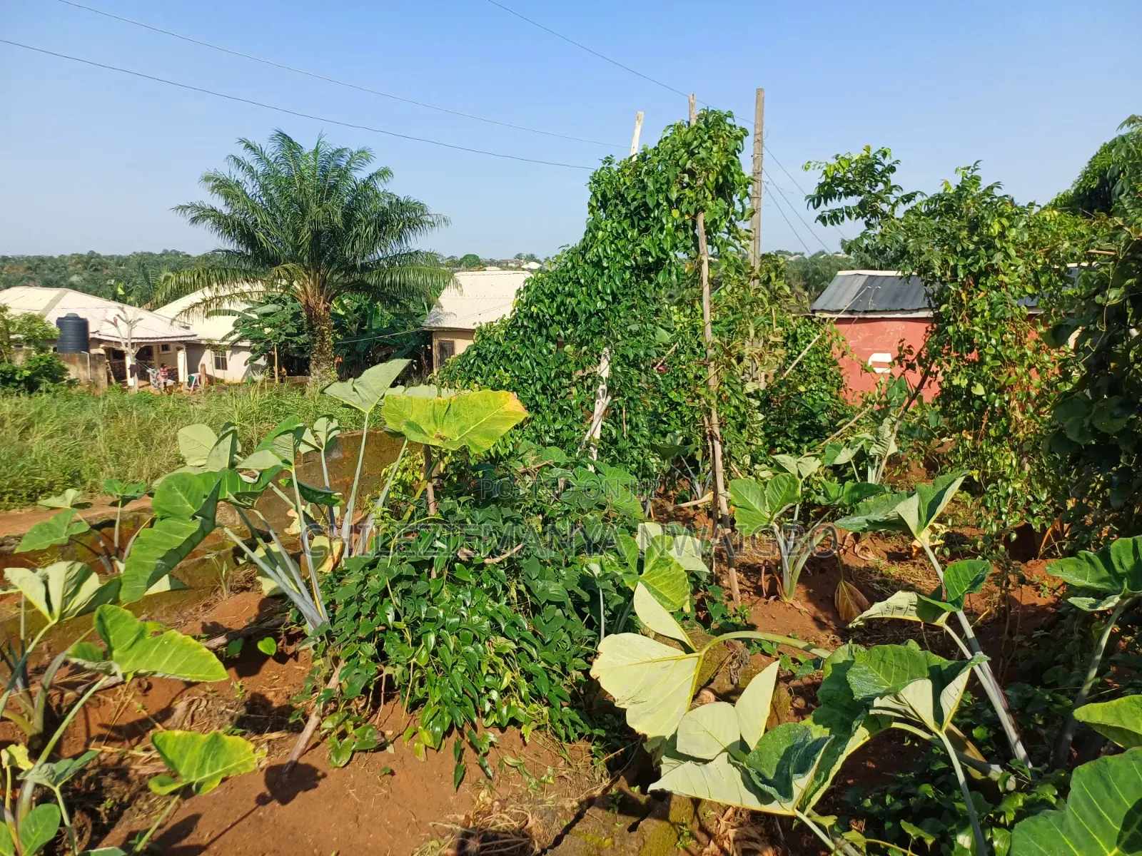 Dry Buy & Build 60x120ft Plot in Adamo, Ikorodu - Survey & Deed