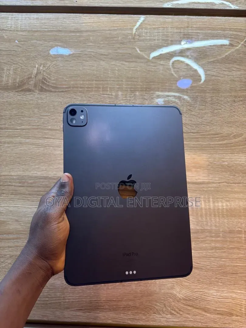 Apple iPad Pro 11 (2024) 256 GB Gray