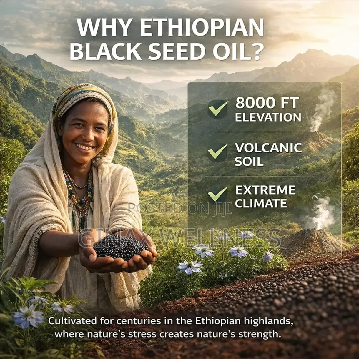 100% Ethiopian Black Cumin Seed Oil (1000mg, 180 Softgels)
