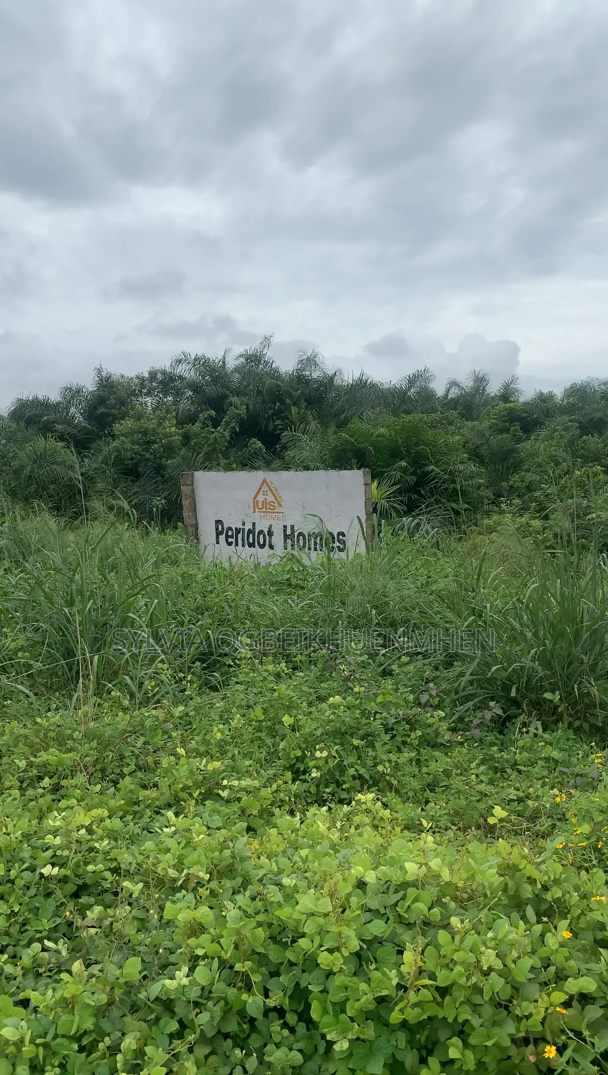 Land Facing the Road in Epe for Sale – Epe , Lagos