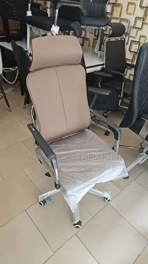 Professional Office Chair