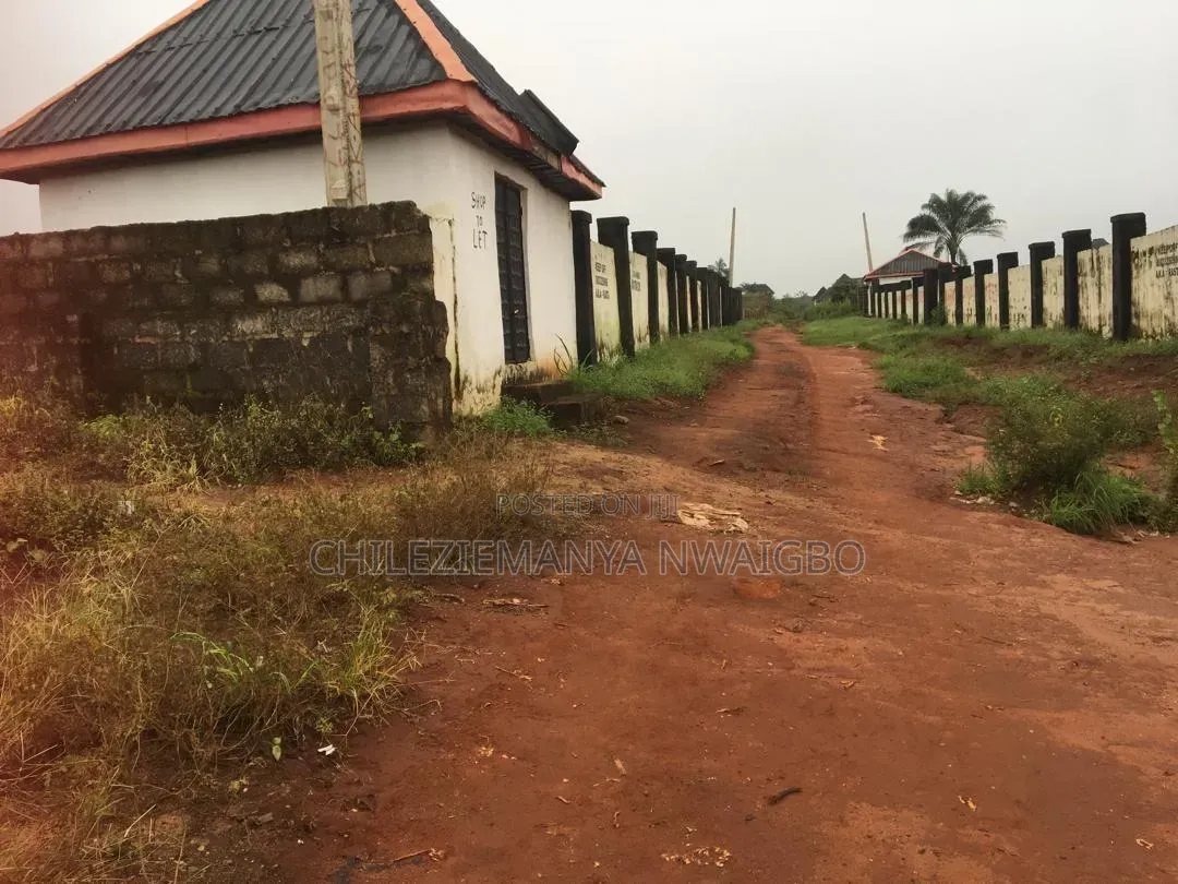 Fenced 2 Plots of Land for Sale in Ibusa Delta State (Survey & Deed)