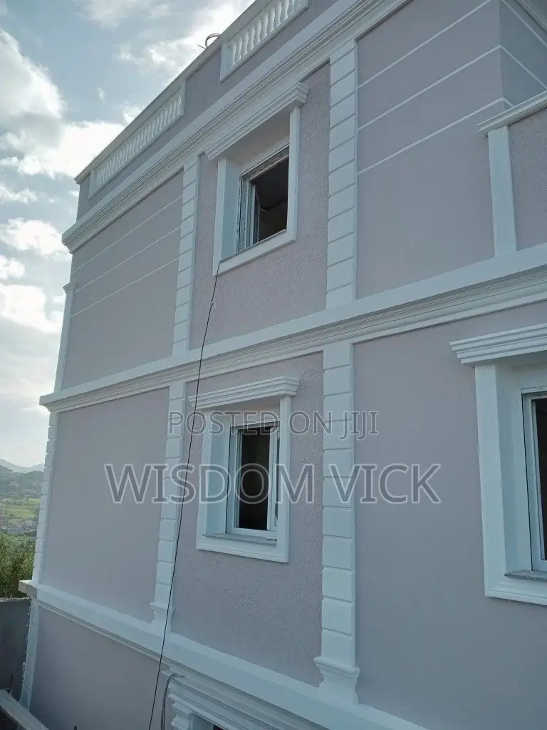 Are You Looking for a Professional Painter and Screeder in Abuja