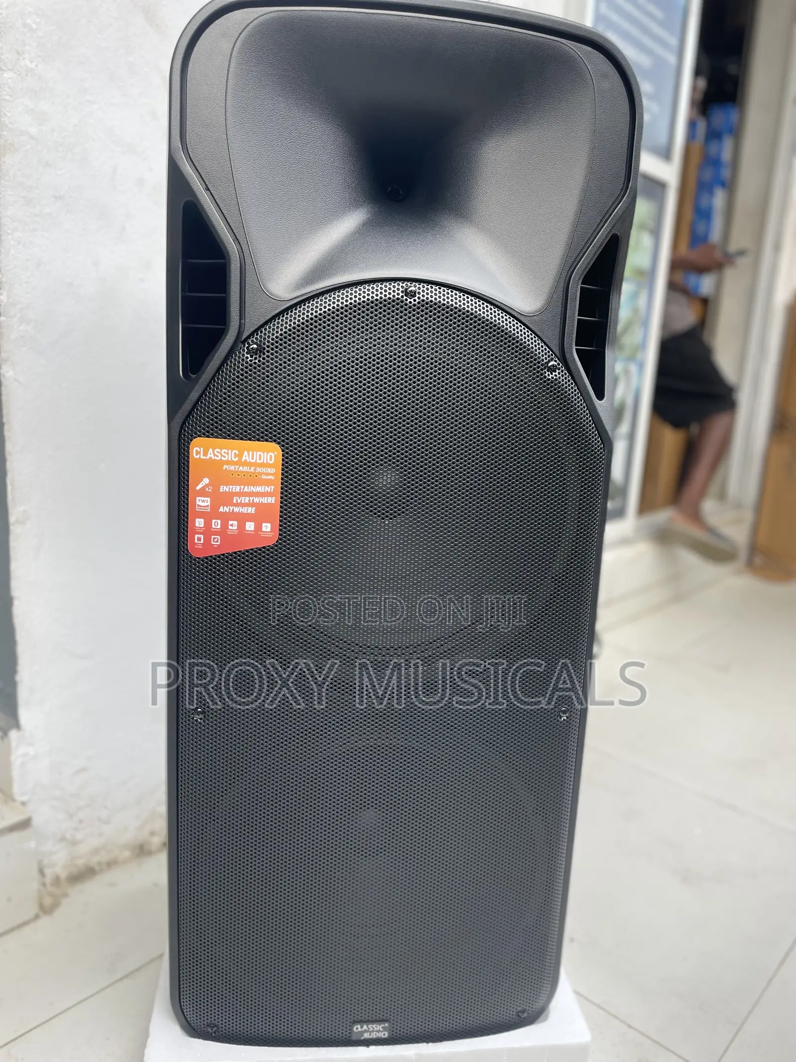Classic Audio Double 15inches PA System