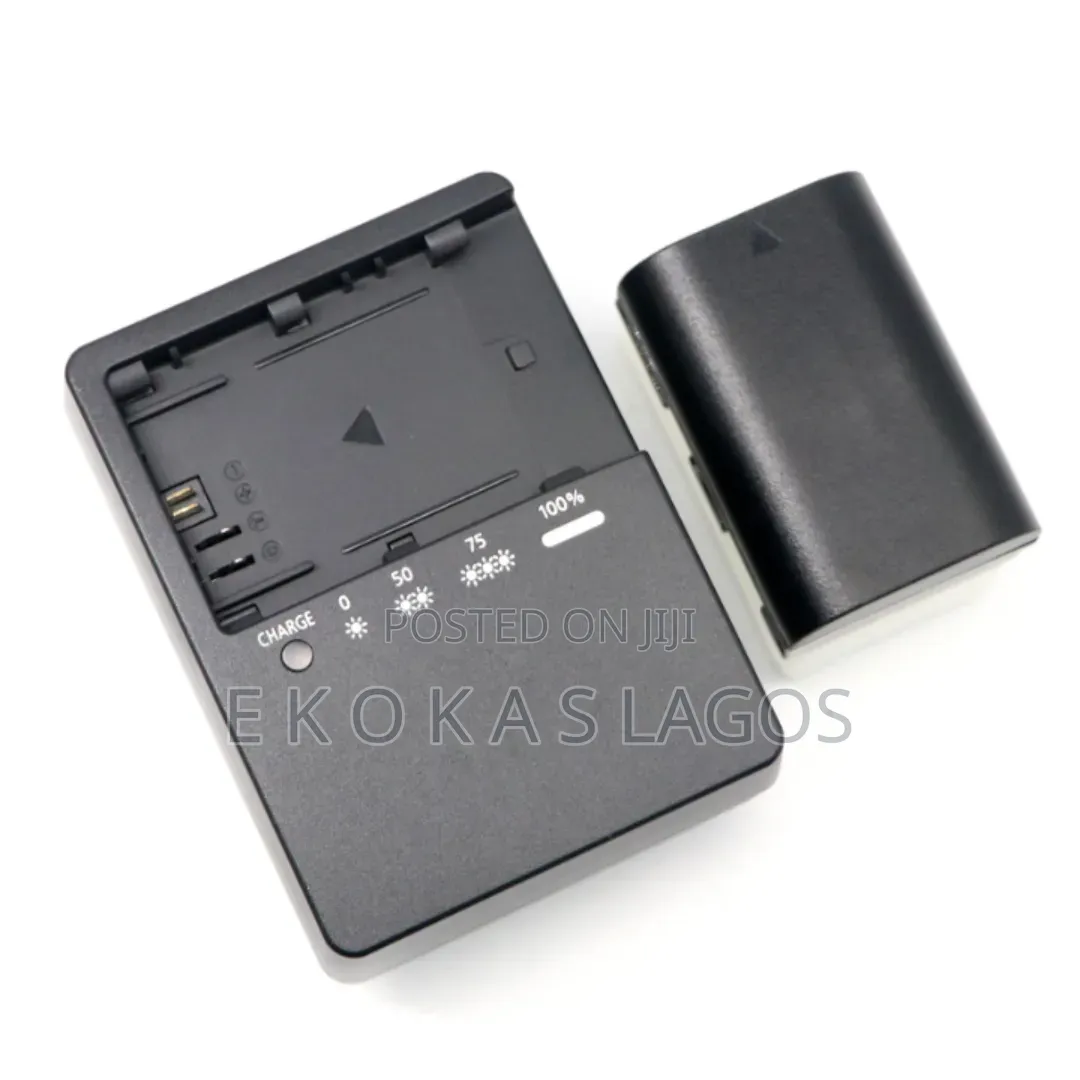 4500mah NPX-108 Camera Battery and Dual Battery Charger for Camcorders