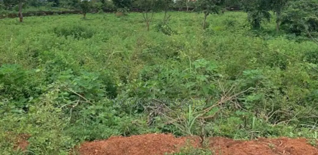 2000Sqm Residential Land for Sale in Wawa