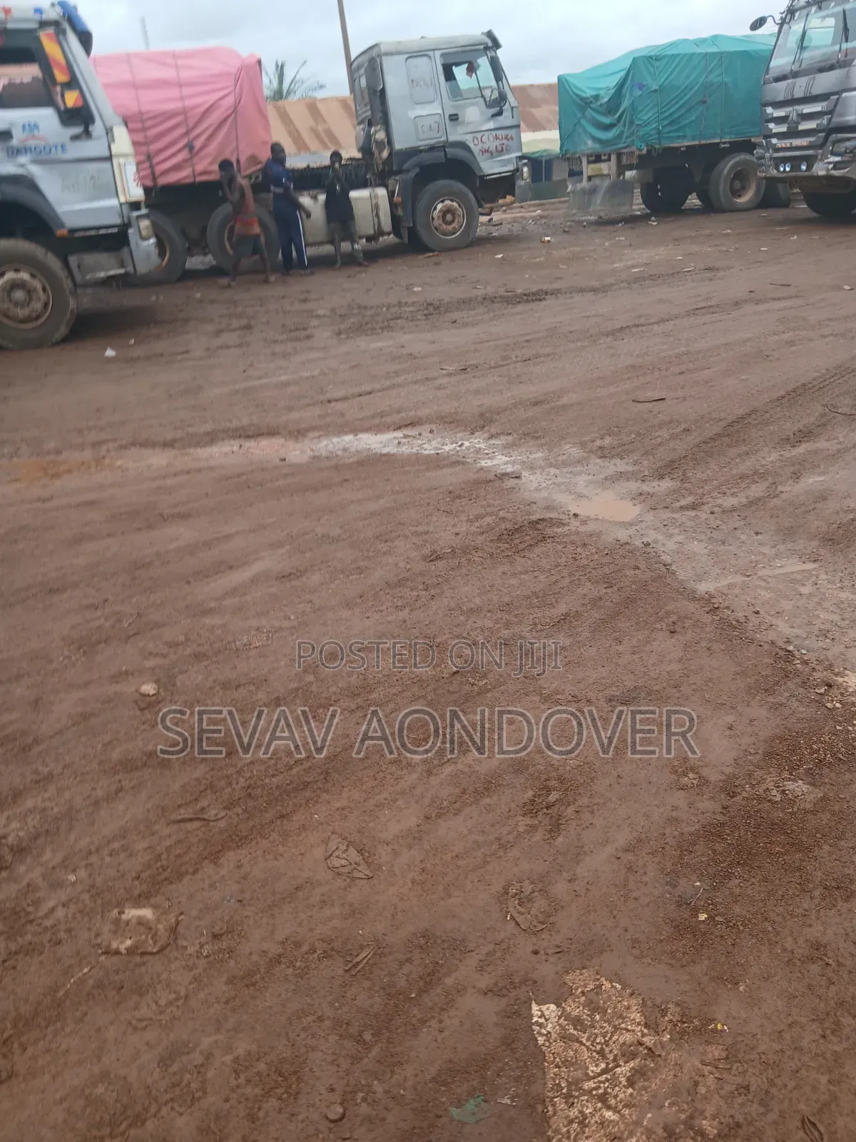 Genuine Sell of Bua and Dangote Cement Nationwide