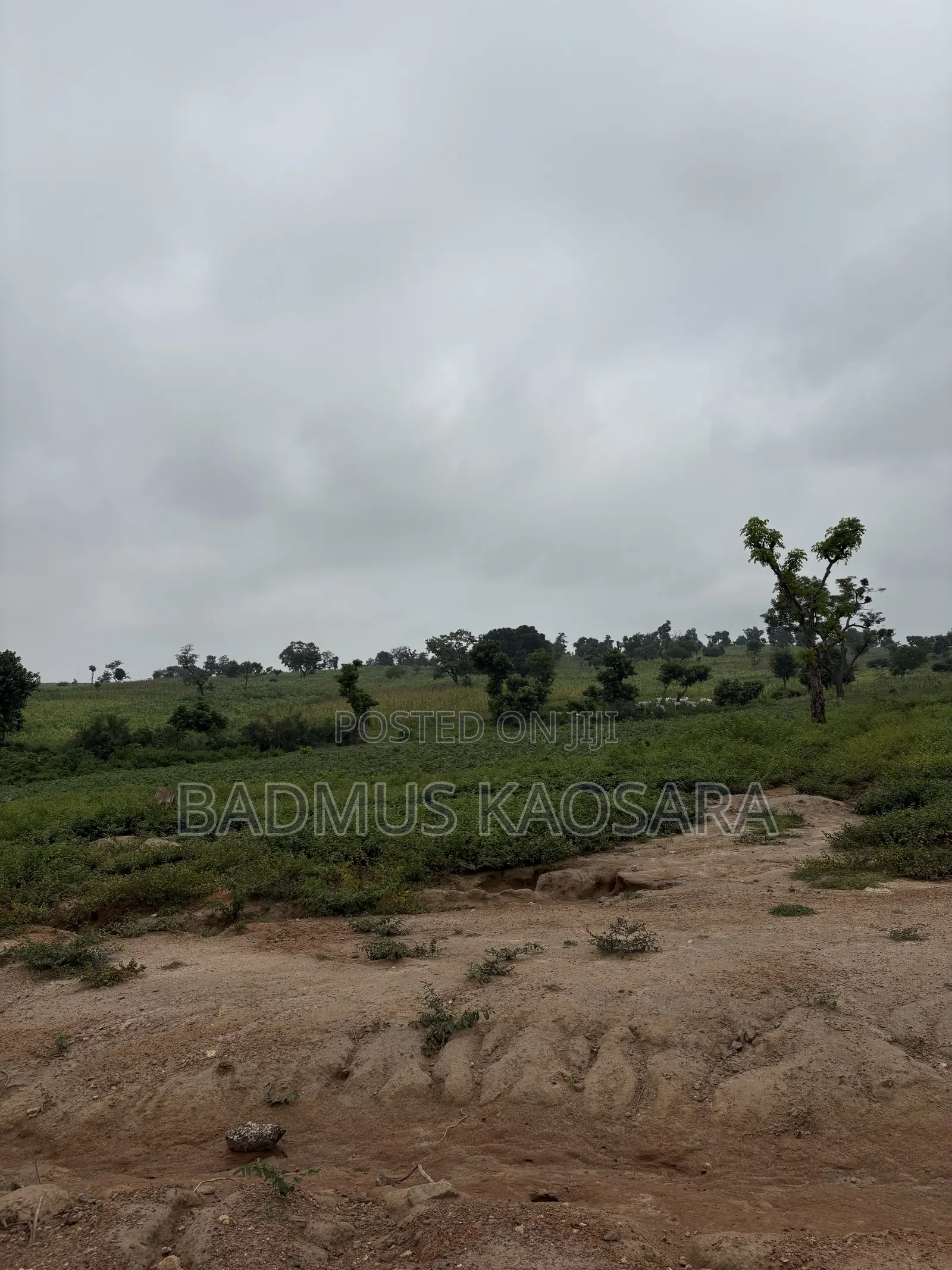 250SQM Estate Land for 4 Bedroom Semi-Detached Duplex With R of O