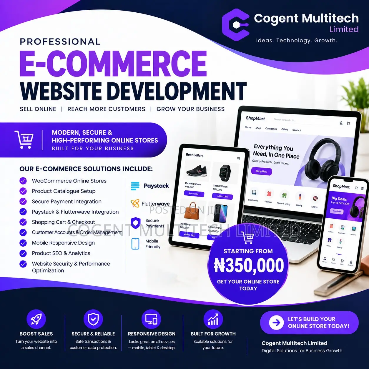 Professional E-Commerce Website & Online Store Development