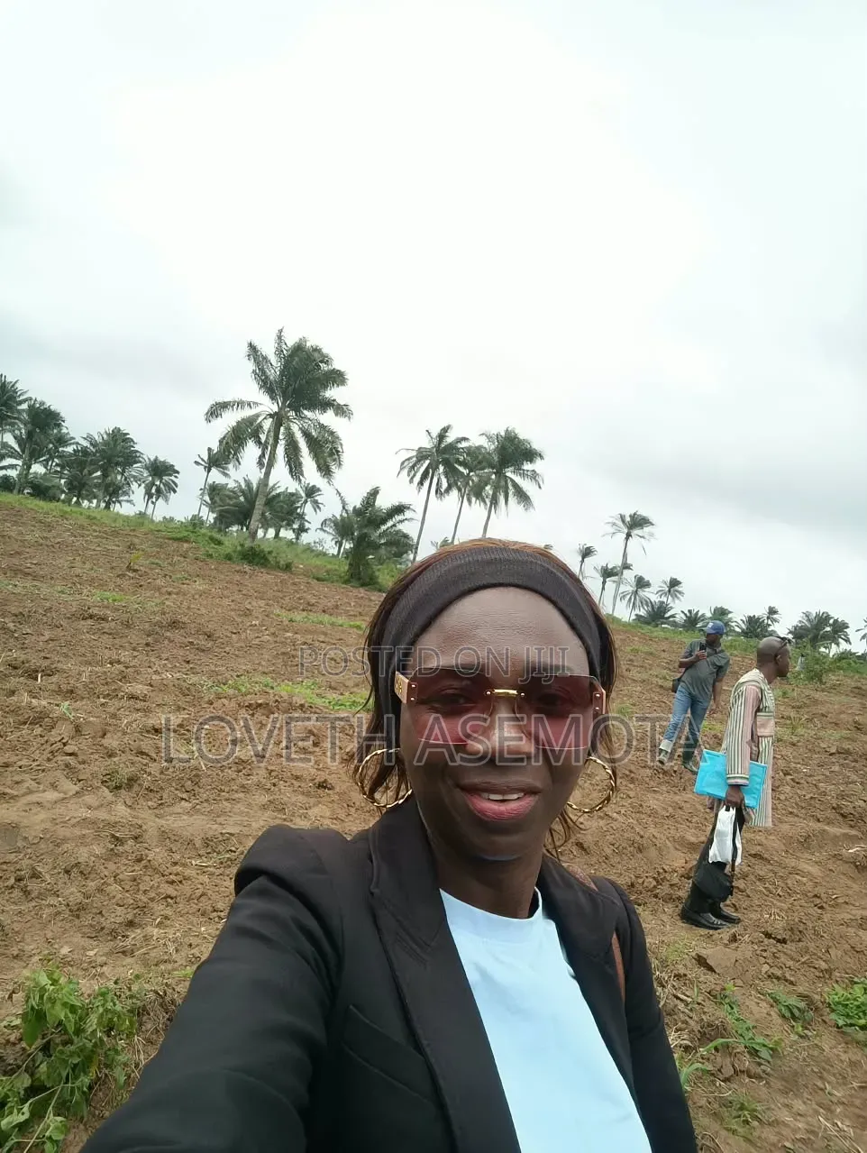 Own Your Own Oil Palm Plantation With Palmrich Farm Phase 4!
