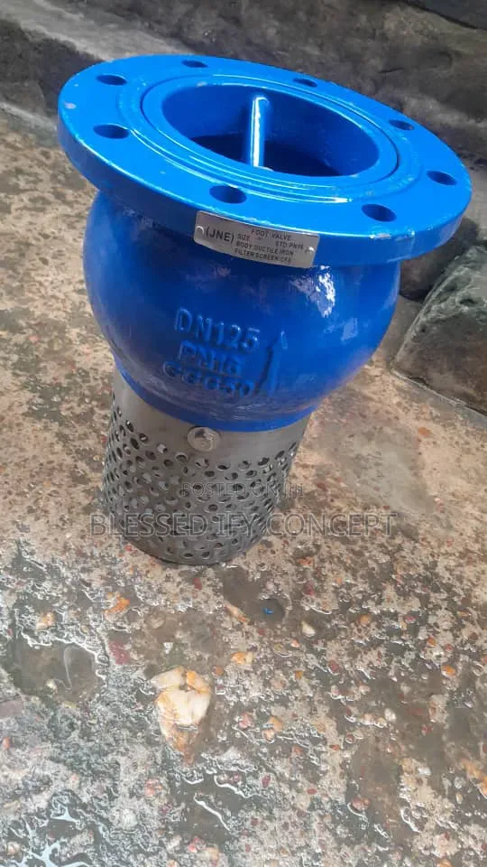 5 Inches Foot Valve, Also Available in Different Sizes