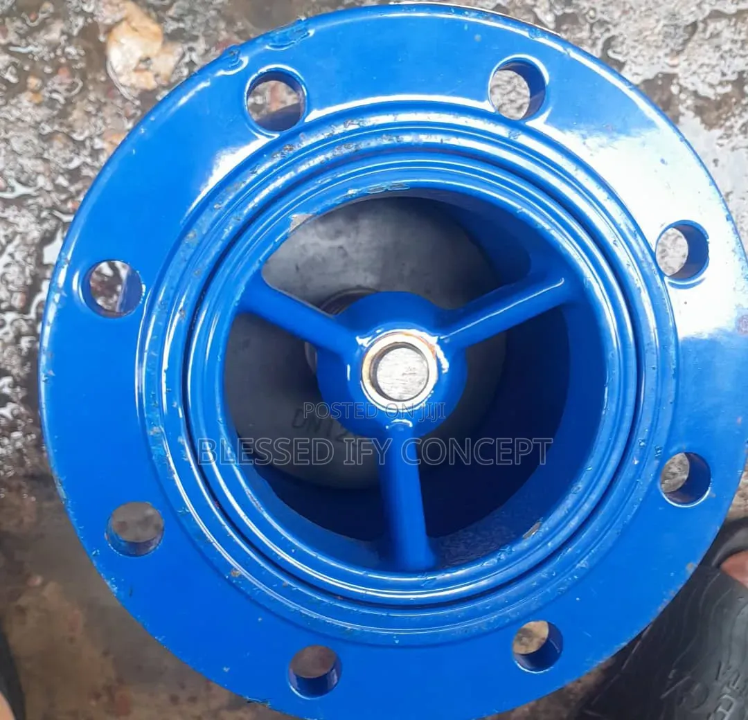 5 Inches Foot Valve, Also Available in Different Sizes