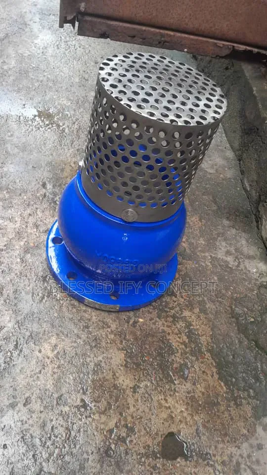 5 Inches Foot Valve, Also Available in Different Sizes