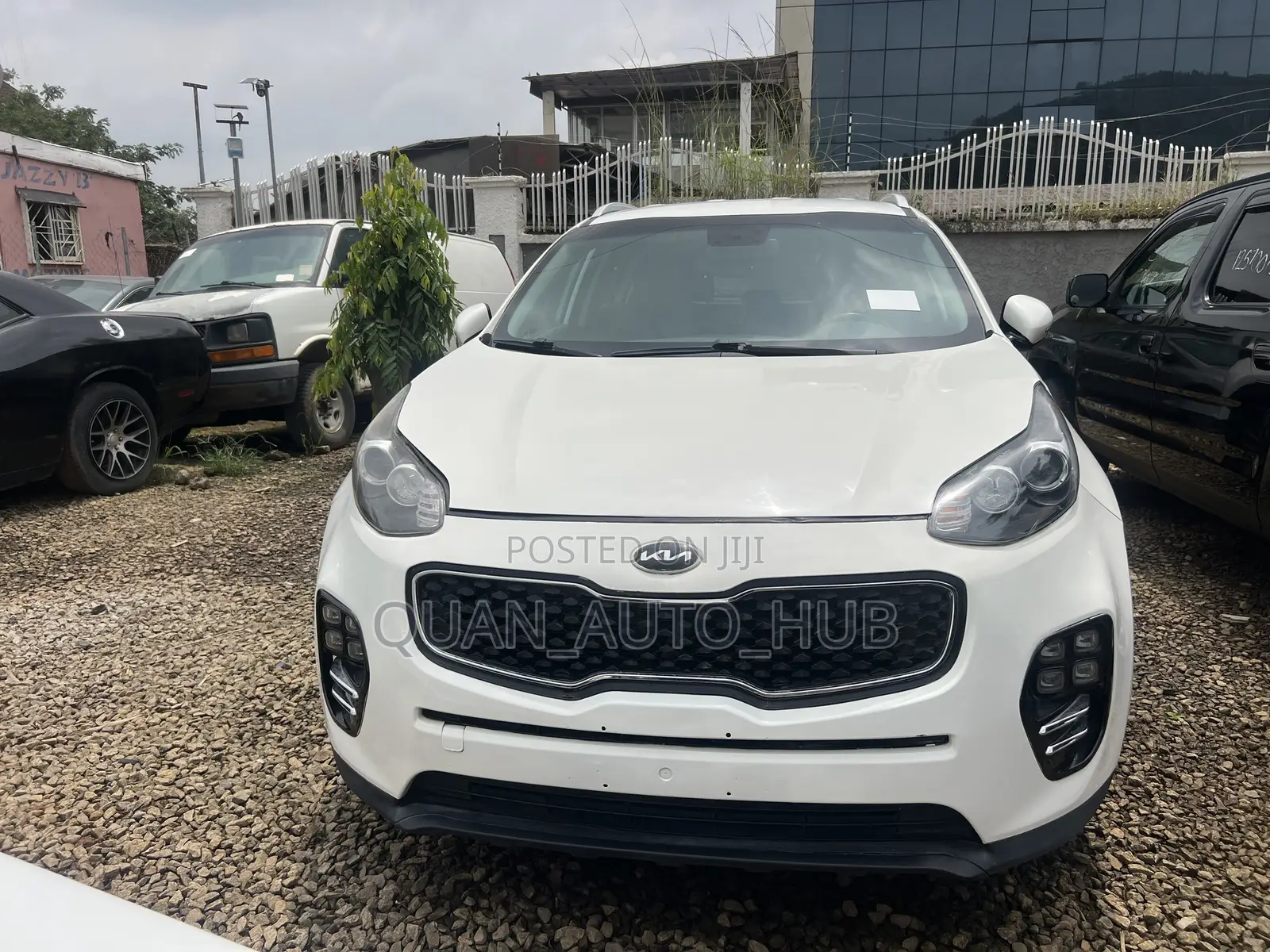 Kia Sportage EX 4dr SUV AWD (2.4L 4cyl 6A) 2017 White