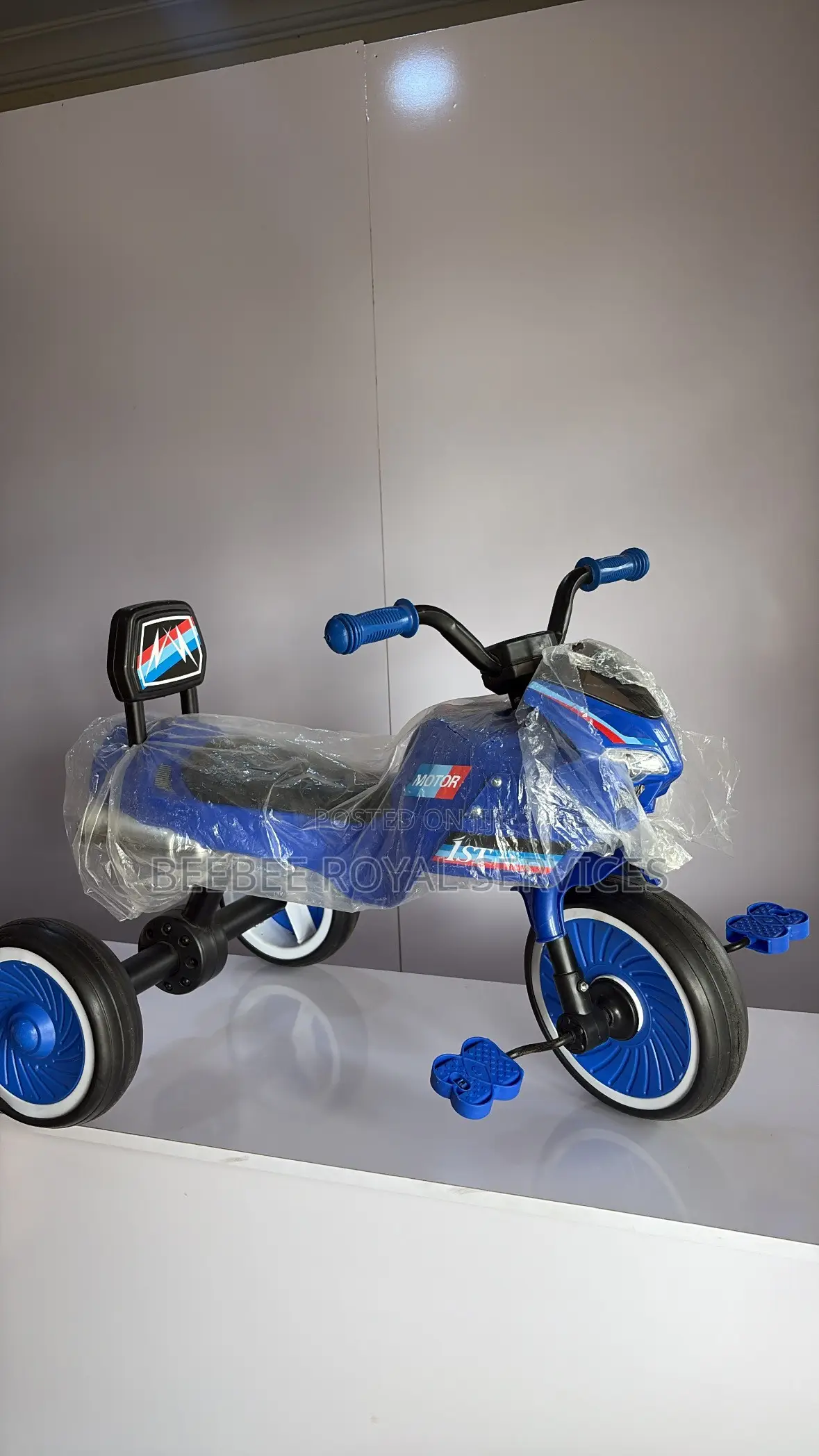Power Bike Tricycle