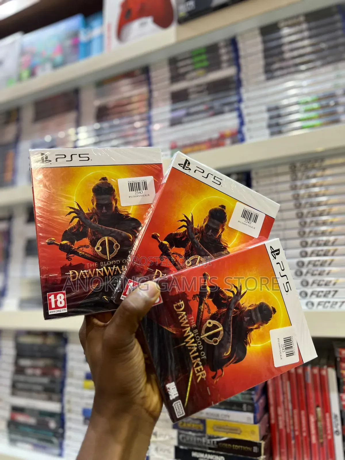 Ps5 the Blood of Dawn Walker