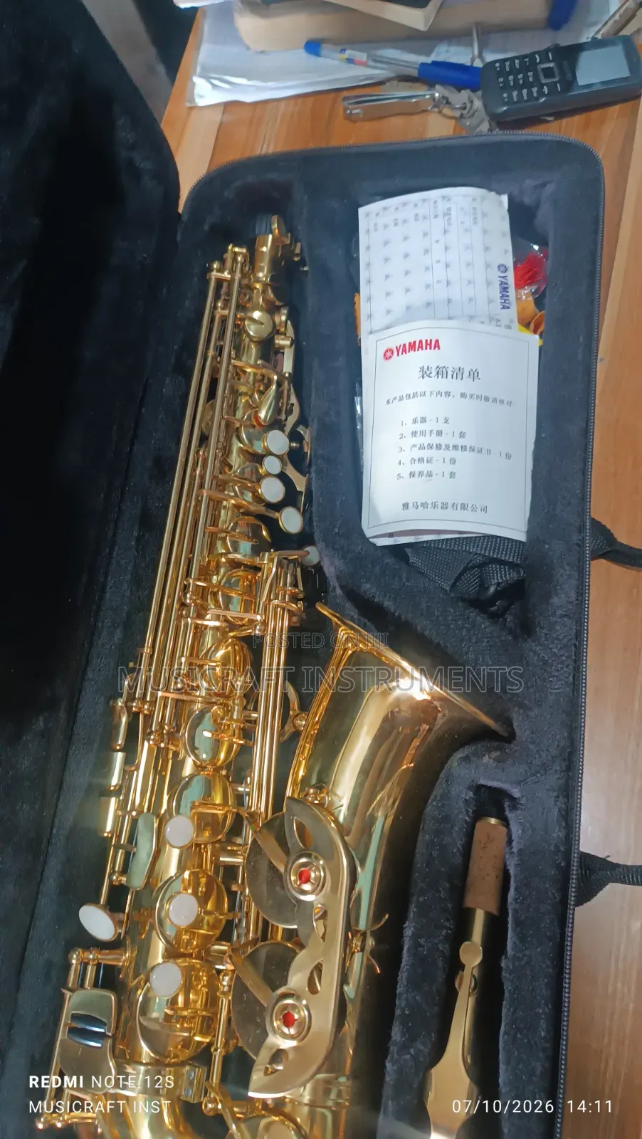Customised Professional Alto Saxophone