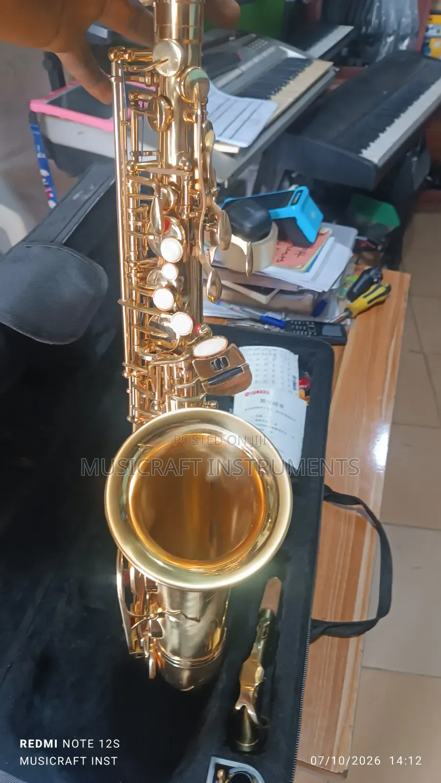 Customised Professional Alto Saxophone
