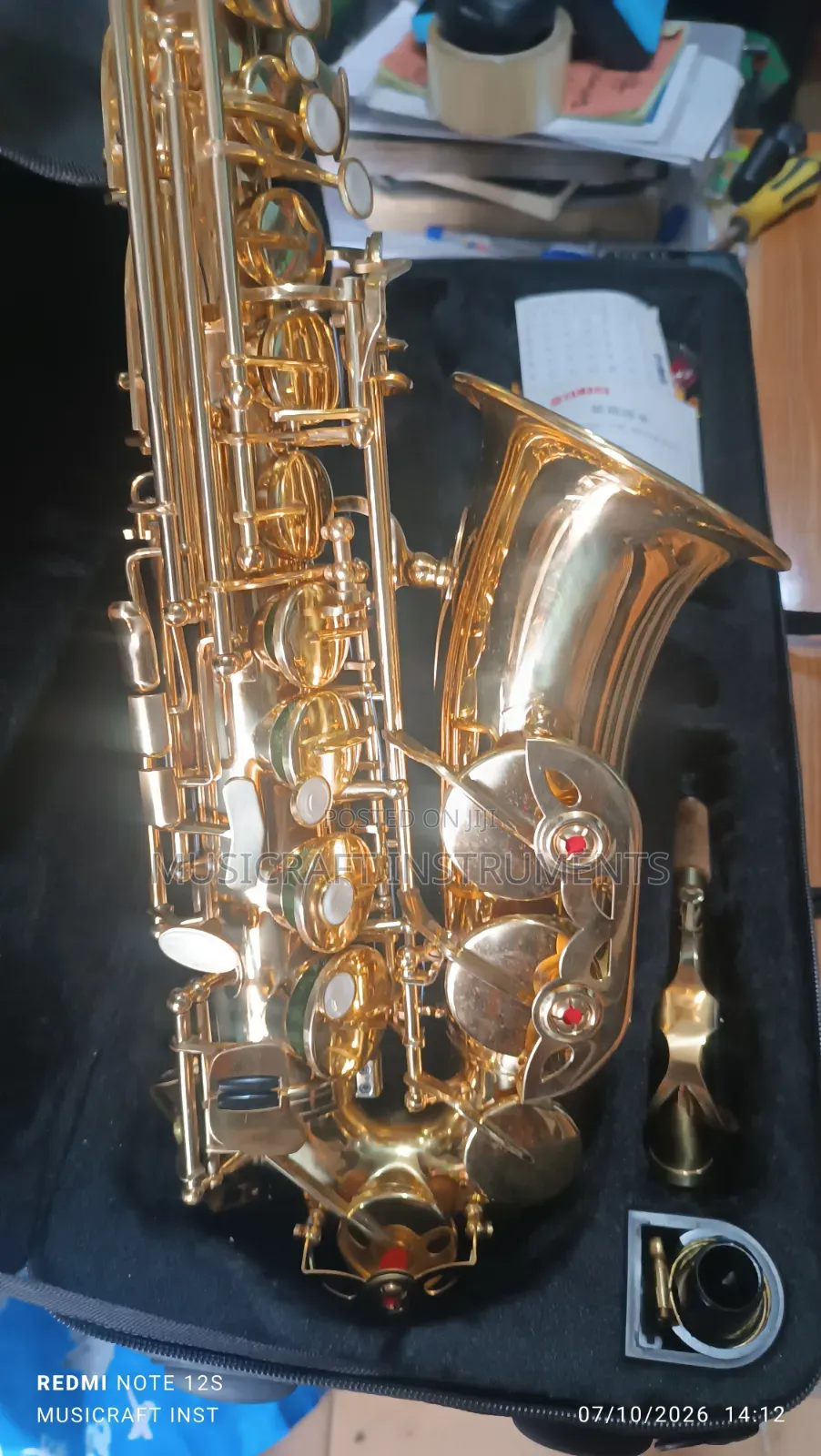 Customised Professional Alto Saxophone