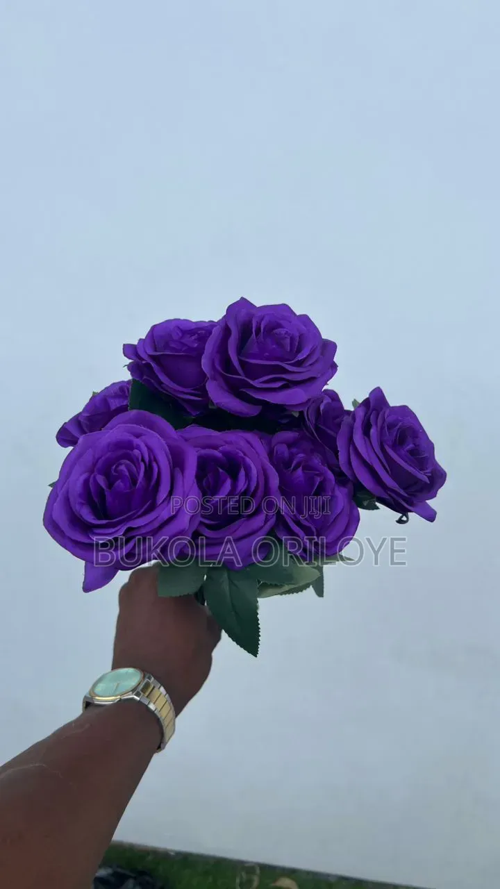 Purple Flowers Rentals Service